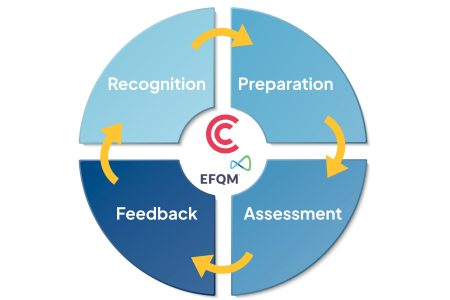 Helping Organisations Accelerate Improvement Using the EFQM Model